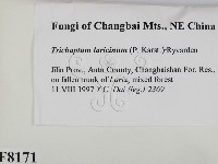 登錄號:F0008171藏品圖，第2張