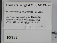 登錄號:F0008172藏品圖，第2張