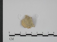 登錄號:F0008172藏品圖，第3張