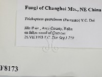 登錄號:F0008173藏品圖，第2張