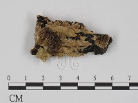 登錄號:F0008173藏品圖，第1張