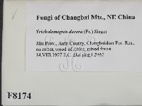 登錄號:F0008174藏品圖，第2張