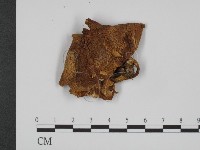 登錄號:F0008174藏品圖，第3張