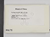 登錄號:F0008175藏品圖，第2張