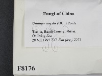 登錄號:F0008176藏品圖，第2張