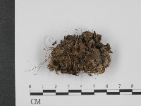 登錄號:F0008176藏品圖，第3張