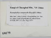 登錄號:F0008179藏品圖，第2張