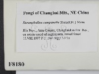 登錄號:F0008180藏品圖，第2張