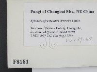 登錄號:F0008181藏品圖，第2張