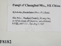 登錄號:F0008182藏品圖，第2張