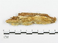 登錄號:F0008184藏品圖，第1張
