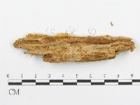 登錄號:F0008184藏品圖，第3張