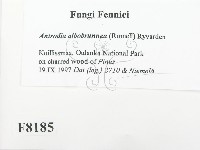 登錄號:F0008185藏品圖，第2張