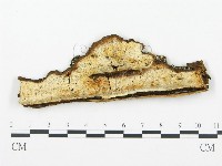 登錄號:F0008185藏品圖，第1張