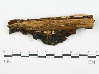 登錄號:F0008185藏品圖，第3張