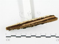 登錄號:F0008185藏品圖，第4張