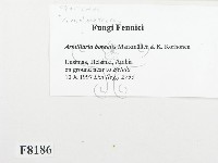 登錄號:F0008186藏品圖，第2張