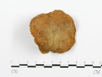 登錄號:F0008186藏品圖，第3張