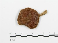 登錄號:F0008187藏品圖，第3張