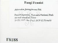 登錄號:F0008188藏品圖，第2張