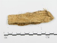 登錄號:F0008188藏品圖，第3張