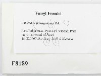 登錄號:F0008189藏品圖，第2張