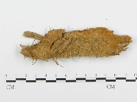 登錄號:F0008189藏品圖，第1張