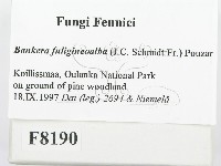 登錄號:F0008190藏品圖，第2張