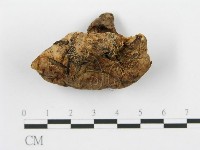 登錄號:F0008190藏品圖，第3張