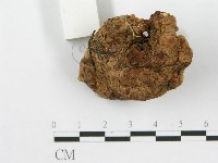 登錄號:F0008190藏品圖，第4張