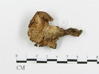 登錄號:F0008191藏品圖，第1張