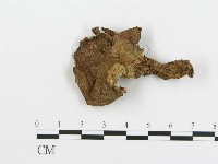 登錄號:F0008191藏品圖，第3張