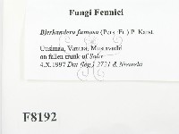 登錄號:F0008192藏品圖，第2張