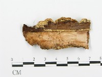 登錄號:F0008192藏品圖，第3張