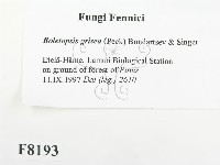 登錄號:F0008193藏品圖，第2張