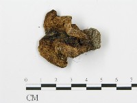 登錄號:F0008193藏品圖，第3張