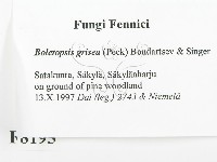 登錄號:F0008195藏品圖，第2張