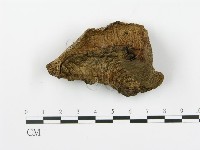 登錄號:F0008195藏品圖，第1張