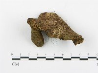 登錄號:F0008195藏品圖，第3張