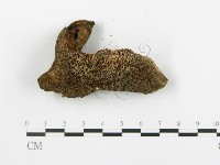 登錄號:F0008195藏品圖，第4張