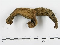 登錄號:F0008195藏品圖，第5張