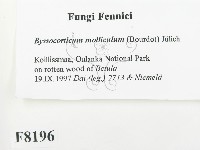 登錄號:F0008196藏品圖，第2張