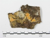 登錄號:F0008196藏品圖，第1張