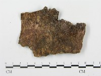 登錄號:F0008196藏品圖，第3張