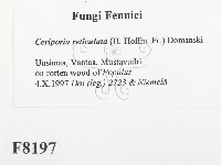 登錄號:F0008197藏品圖，第2張