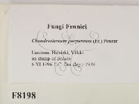 登錄號:F0008198藏品圖，第2張