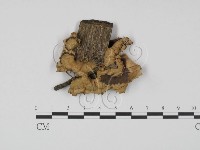 登錄號:F0008198藏品圖，第1張