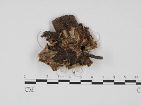 登錄號:F0008198藏品圖，第3張