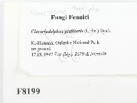 登錄號:F0008199藏品圖，第2張