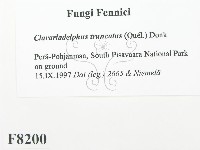 登錄號:F0008200藏品圖，第2張